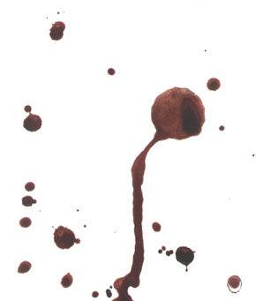 bloodsplatter by Myles Leigo